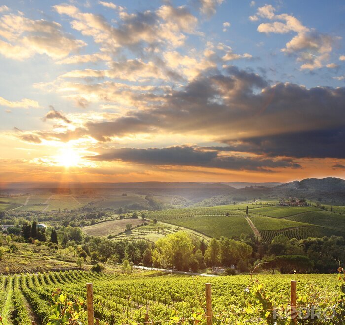Canvas Chianti wijngaard landschap in Toscane, Italië