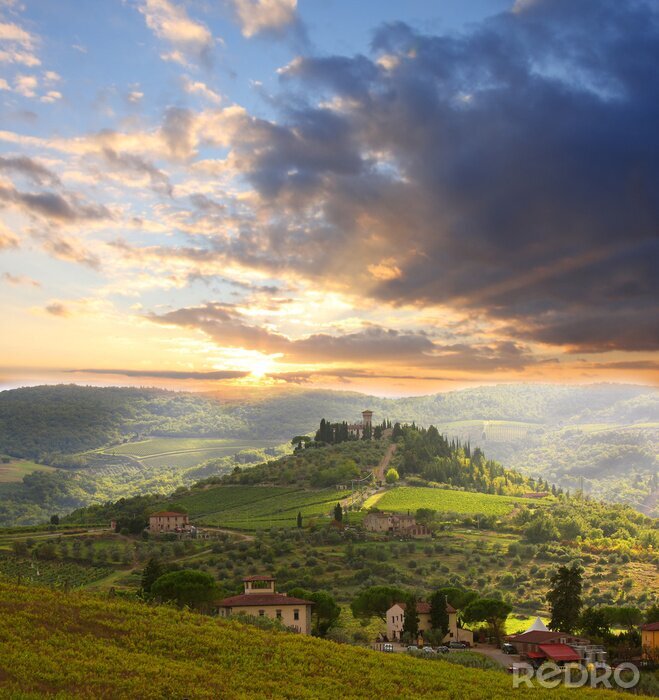 Canvas Chianti wijngaard landschap in Toscane, Italië