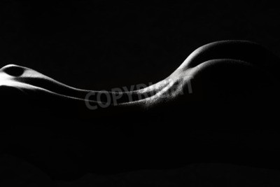 Canvas Close-up achterzijde silhouet weergave van een mooie seksuele jonge naakte vrouw met flexibele rechte naakte lichaam en billen liggen in de kleuren studio zwart en wit, horizontale beeld