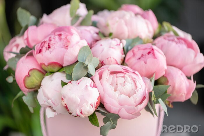 Canvas Close-up of flowers Pink peonies . Beautiful peony flower for catalog or online store. Floral shop concept . Beautiful fresh cut bouquet. Flowers delivery