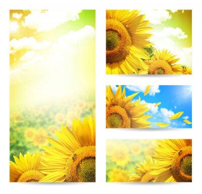 Collage met zonnebloemen