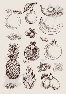 Canvas collectie van de hand tekening geïsoleerd vruchten