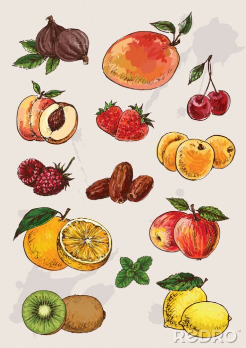 Canvas collectie van de hand tekening geïsoleerd vruchten