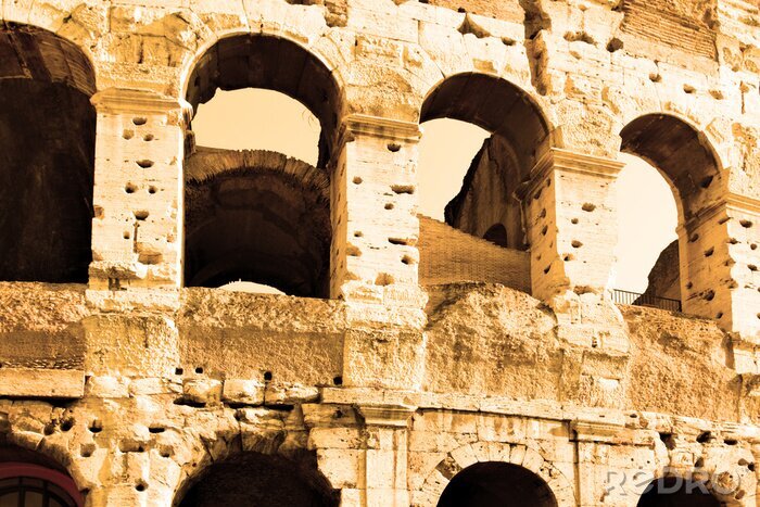 Canvas Colosseum