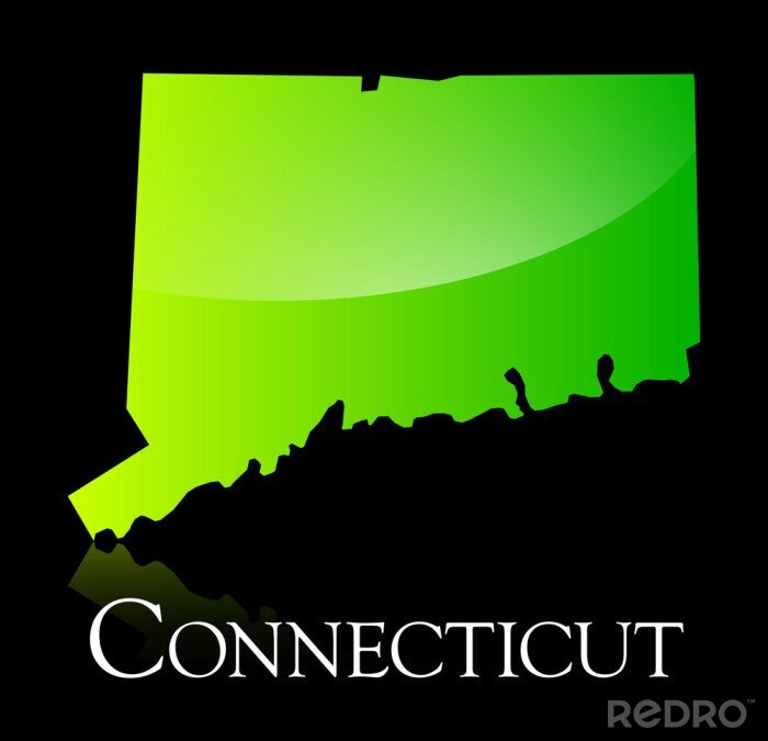Canvas Connecticut groene glanzende kaart