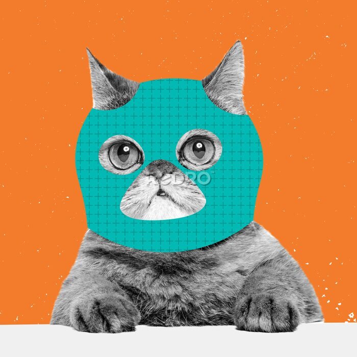 Canvas Creative portrait of cute cat wearing drawn balaclava isolated on bright neon background. Inspirative art, pets, animal, humor and fashion concept.