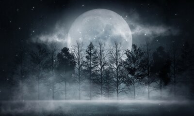 Canvas Dark forest. Gloomy dark scene with trees, big moon, moonlight. Smoke, shadow. Abstract dark, cold street background. Night view.