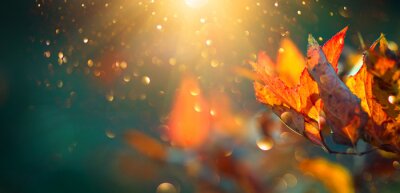 Canvas De herfst kleurrijke heldere bladeren die in een boom in herfstpark slingeren. Herfst kleurrijke achtergrond, herfst achtergrond