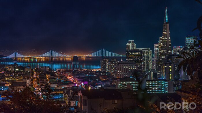 Canvas De horizon van San Francisco bij nacht