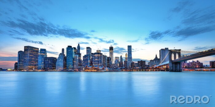 Canvas De skyline van New York overdag