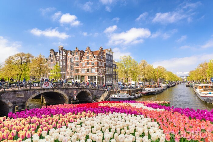 Canvas De stadshorizon van Amsterdam bij kanaalwaterkant met de bloem van de de lentetulp, Amsterdam, Nederland