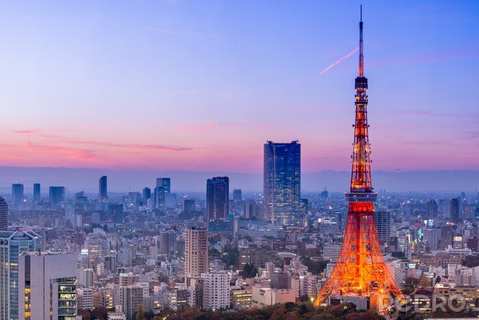 Canvas De Tokio Tower op de achtergrond van de stad