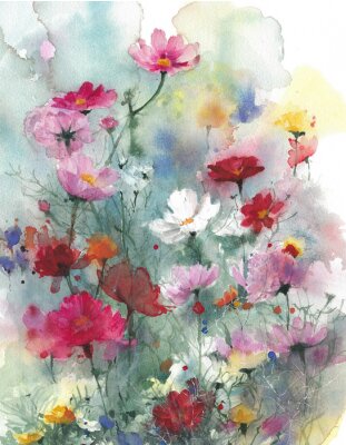 Canvas De waterverf van Wildflowerszomer kleurrijke bloemen het schilderen illustratie die op witte achtergrond wordt geïsoleerd