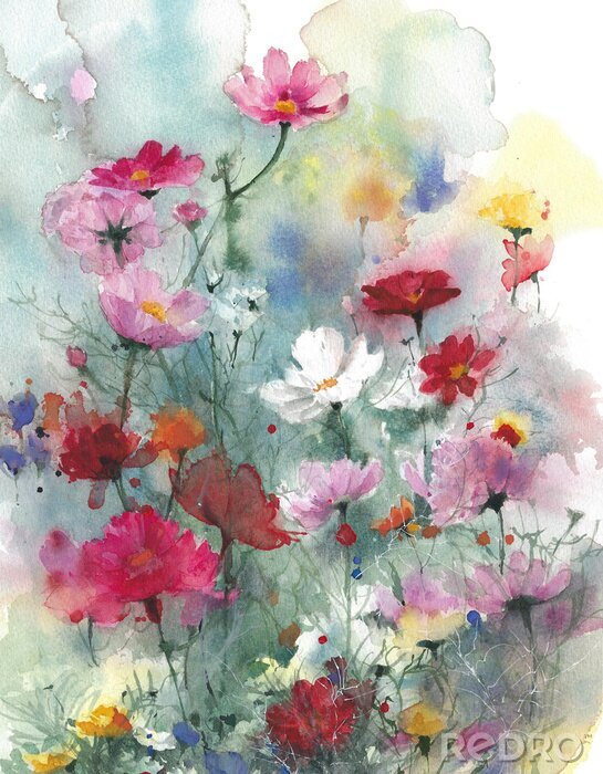 Canvas De waterverf van Wildflowerszomer kleurrijke bloemen het schilderen illustratie die op witte achtergrond wordt geïsoleerd