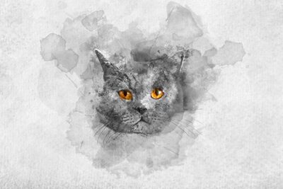 De waterverfportret van de leuke Britse shorthair kat.