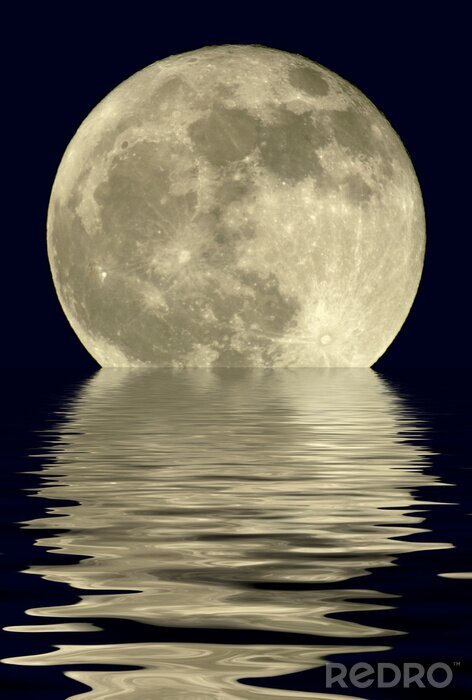 Canvas De weerspiegeling van de maan in het meer