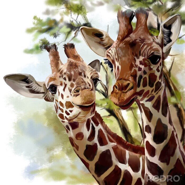 Canvas Delicate aquarel giraffen