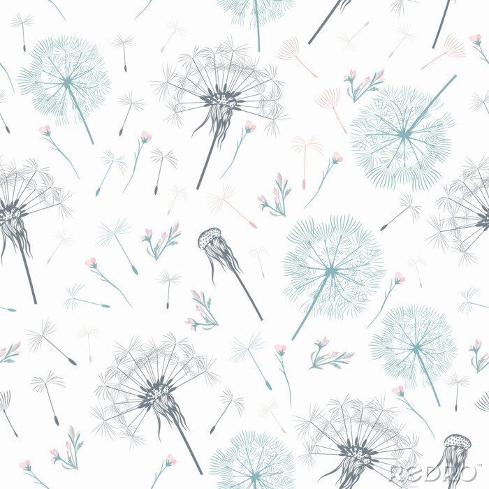 Canvas Delicate grijze paardebloemen op een witte achtergrond