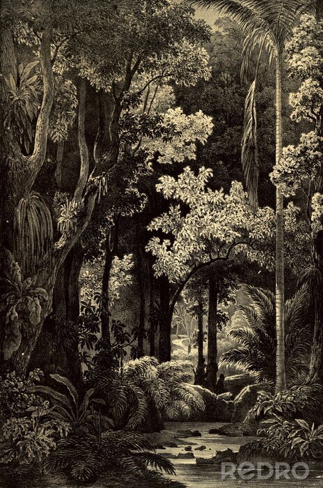 Canvas Dicht oerwoud in retro stijl