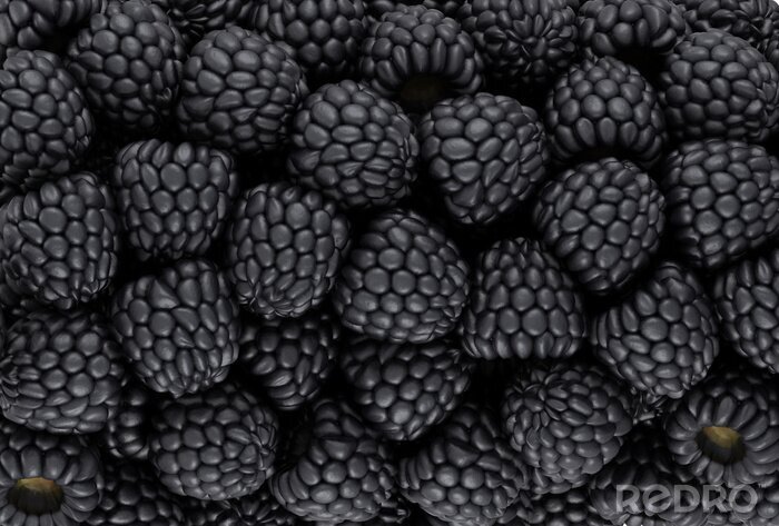 Canvas Diep donkere bramen