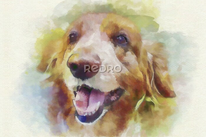 Canvas digitaal schilderen hondportret
