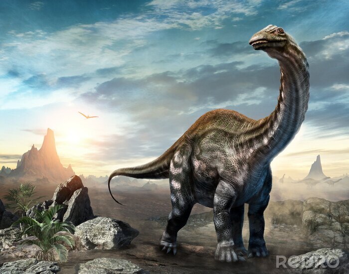Canvas Dinosaurus Apatosaurus 3D concept op achtergrond van zonsondergang
