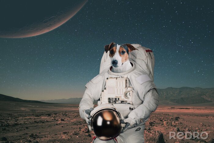 Canvas Dog astronaut in a space suit with a helmet travels on Mars. Spaceman animal on a red planet. Space journey concept