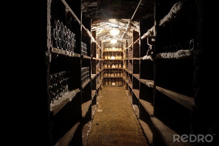 Canvas Donkere ondergrondse wijngaard