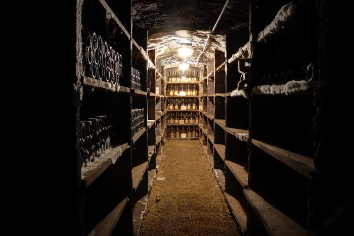 Canvas Donkere ondergrondse wijngaard