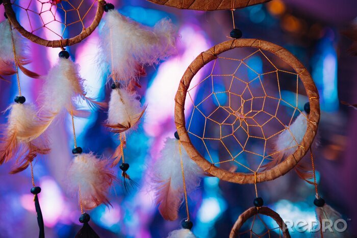 Canvas Dream catcher on the bright multicolored background