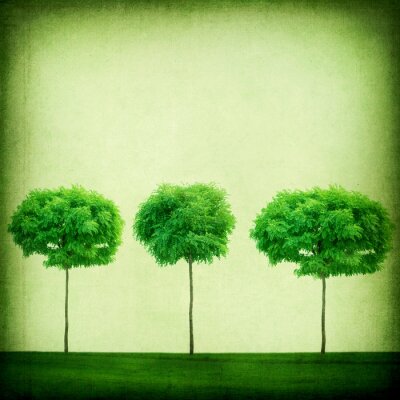 Canvas Drie groene bomen