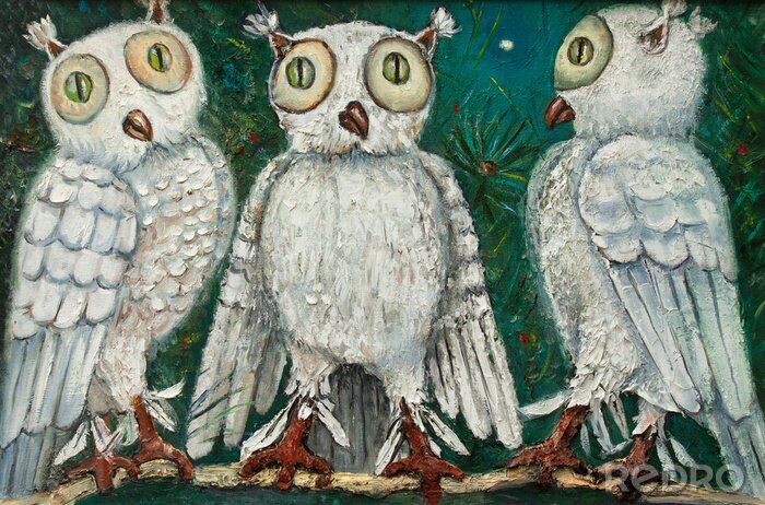 Canvas Drie witte uilen