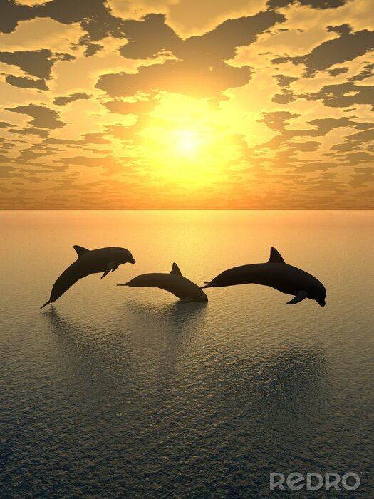 Canvas Drijvend dier op de achtergrond van de zon