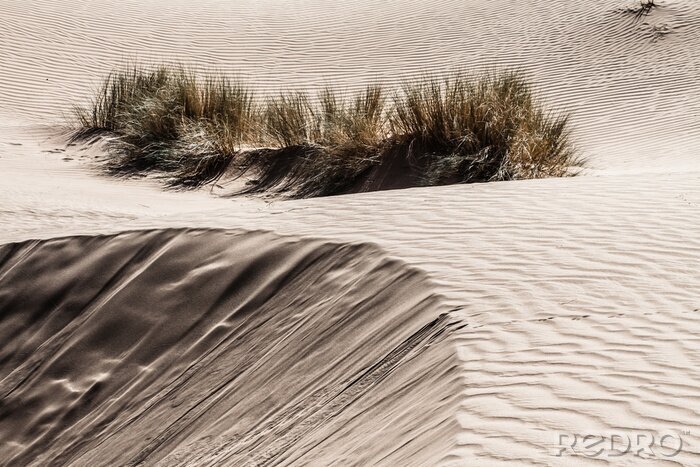 Canvas Duinen in de Sahara