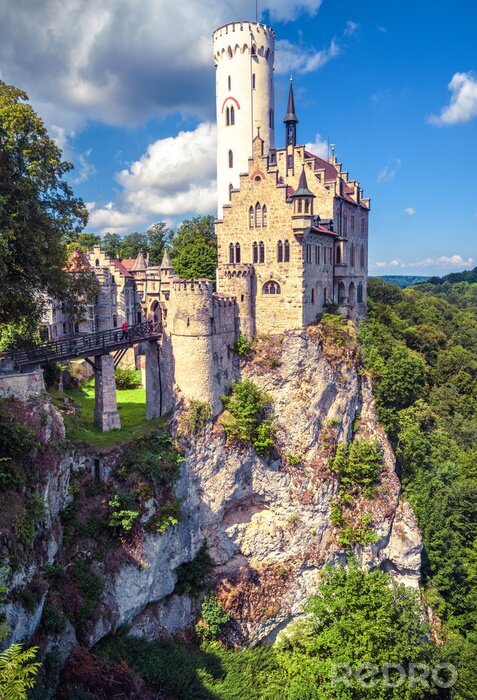 Canvas Duits landschap met een kasteel