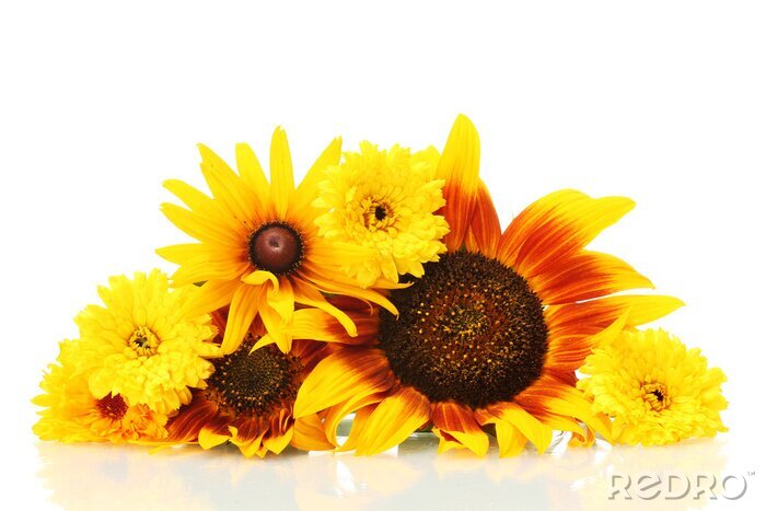 Canvas Een arm vol kleurrijke bloemen