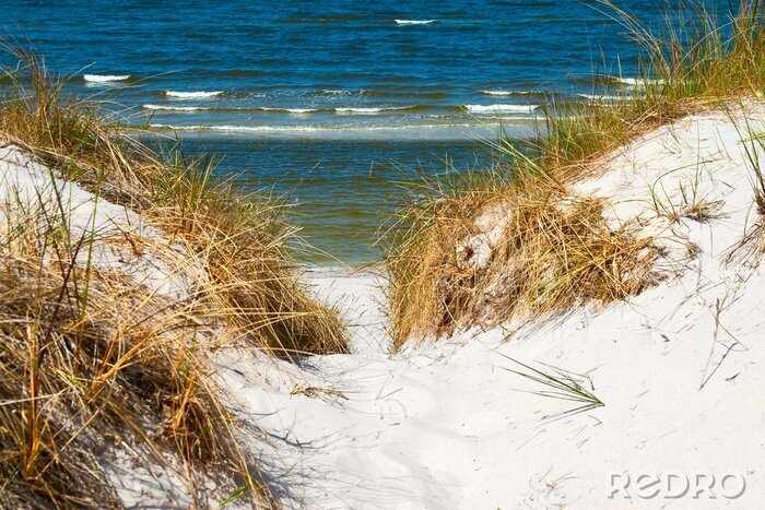 Canvas Een duin aan zee