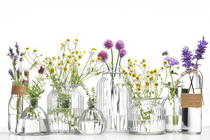 Canvas Een flesje etherische kruidenolie