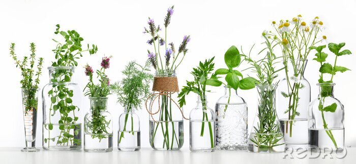 Canvas Een flesje etherische kruidenolie