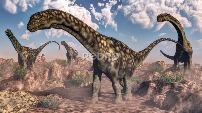 Canvas Een kudde stappende Argentinosaurussen