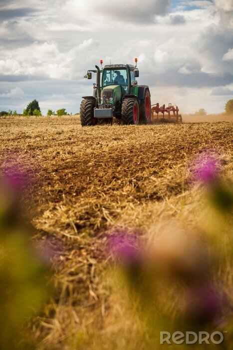 Canvas Een tractor die een gebied van gewassen ploegt. Ondiepe scherptediepte met selectieve aandacht op de trekker.