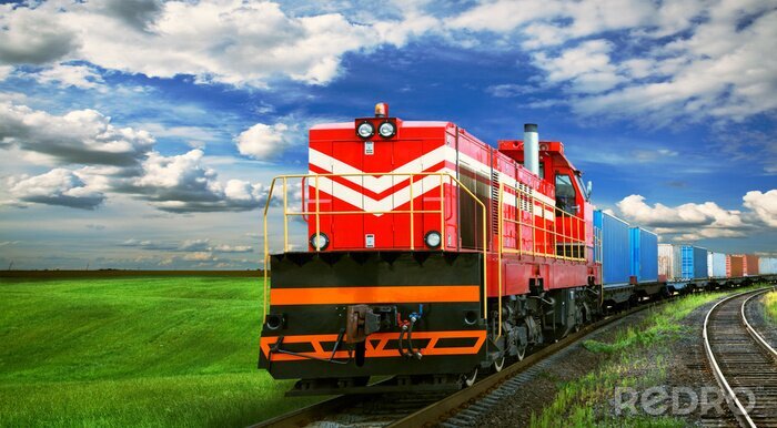 Canvas Een trein met een weide op de achtergrond