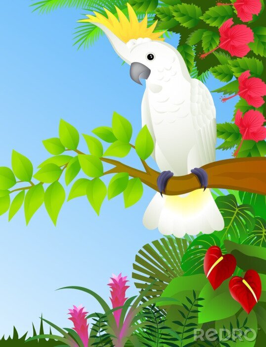 Canvas Een witte papegaai met een gele kuif