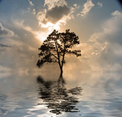 Canvas Eenzame boom aan het water