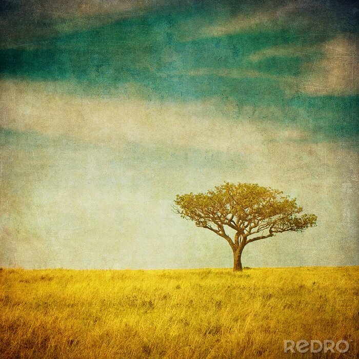 Canvas Eenzame boom in retro fotografie