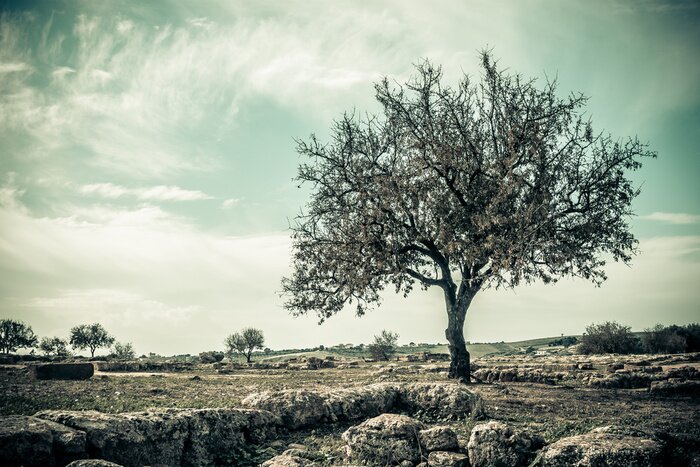Canvas Eenzame boom in vintage stijl
