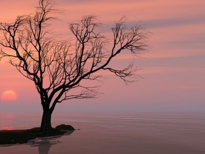 Canvas Eenzame boom op de achtergrond van het meer