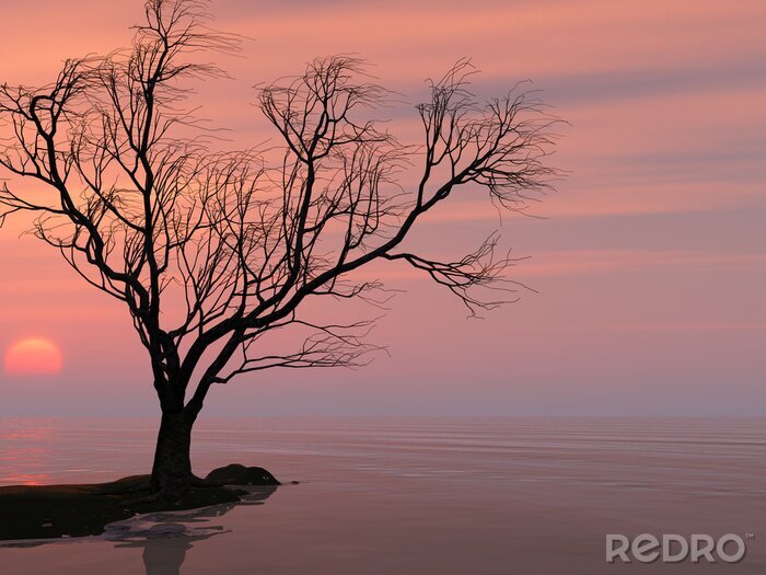 Canvas Eenzame boom op de achtergrond van het meer