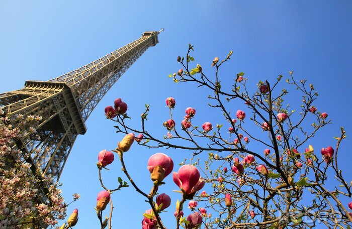 Canvas Eiffel Tower in spring time, Paris, France