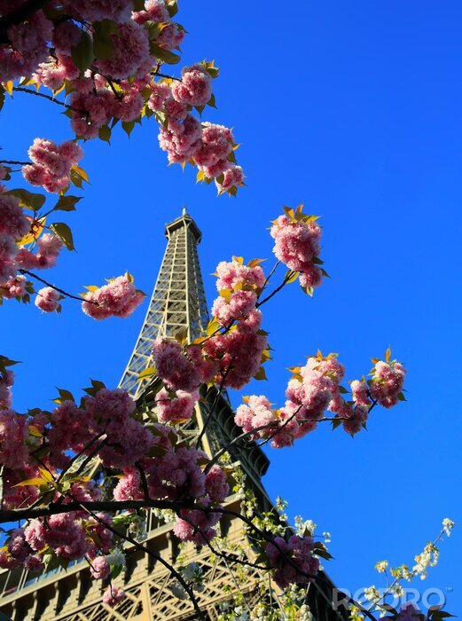 Canvas Eiffeltoren in het voorjaar, Parijs, Frankrijk